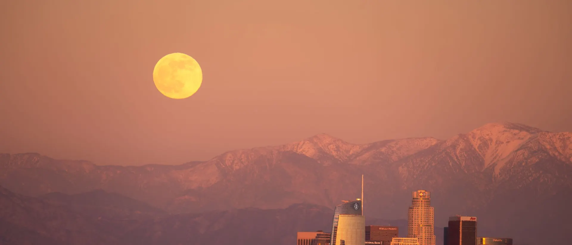 Cover illustration for Beaver Moon 2026: Exact Full Moon Time, Moonrise and Viewing Tips