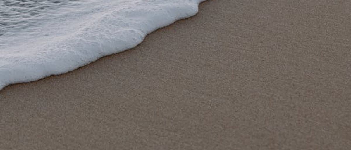 Cover illustration for How the Moon Affects Tides