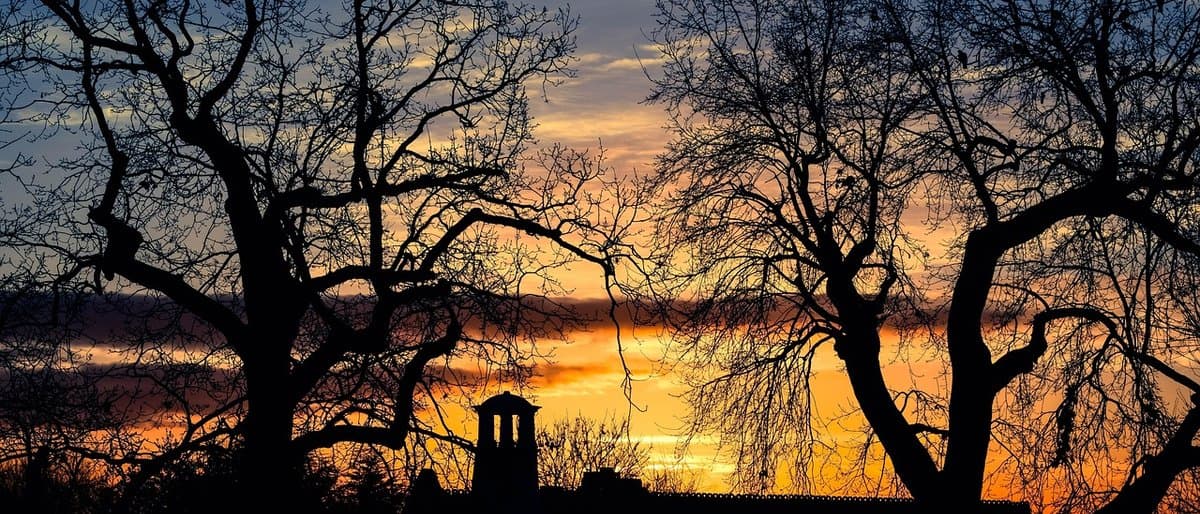 Cover illustration for Why Sunrise and Sunset Times Change Every Day